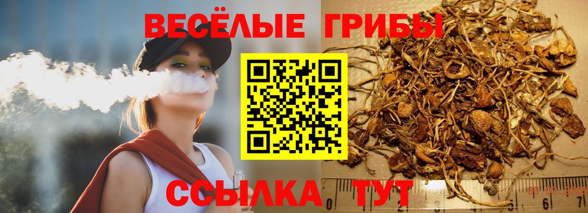 Галлюциногенные грибы GOLDEN TEACHER Медногорск