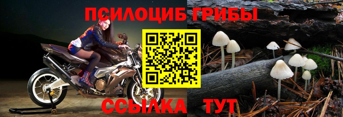 как найти закладки  Вход с VPN  Псилоцибиновые грибы Magic Shrooms  Медногорск  Галлюциногенные грибы мухоморы 
