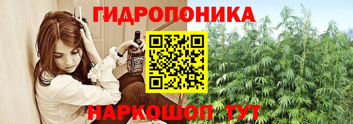 Медногорск  Бошки марихуана конопля  Бошки марихуана сатива  Вход с VPN  Каннабис Bruce Banner 